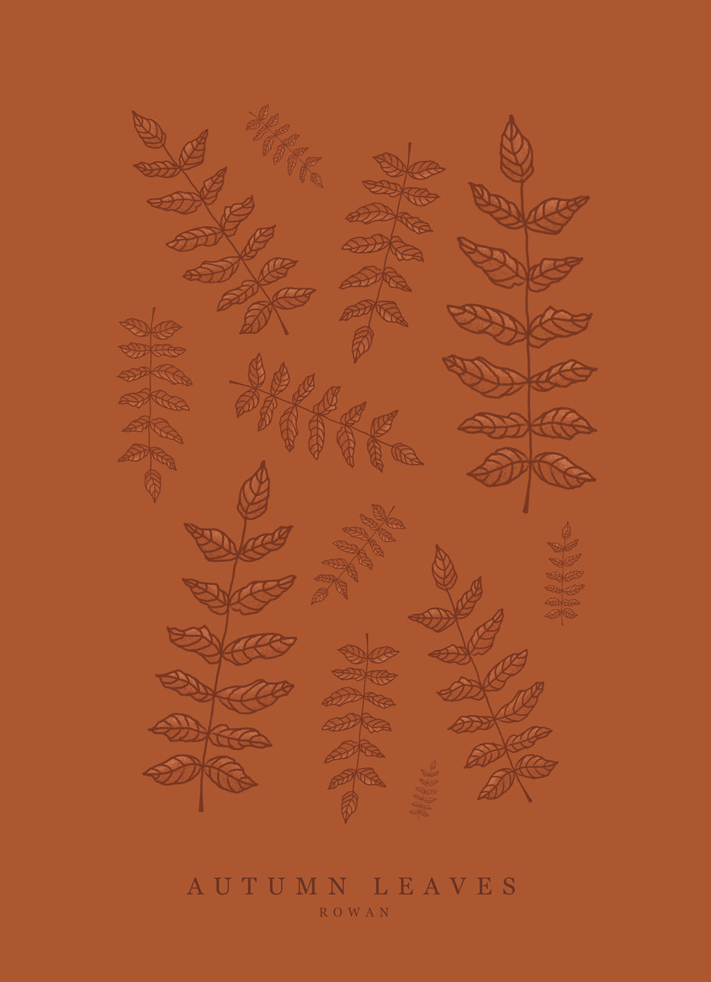 Rowan Leaf Art Print – Sustainable Hand-Illustrated A4 Wall Art