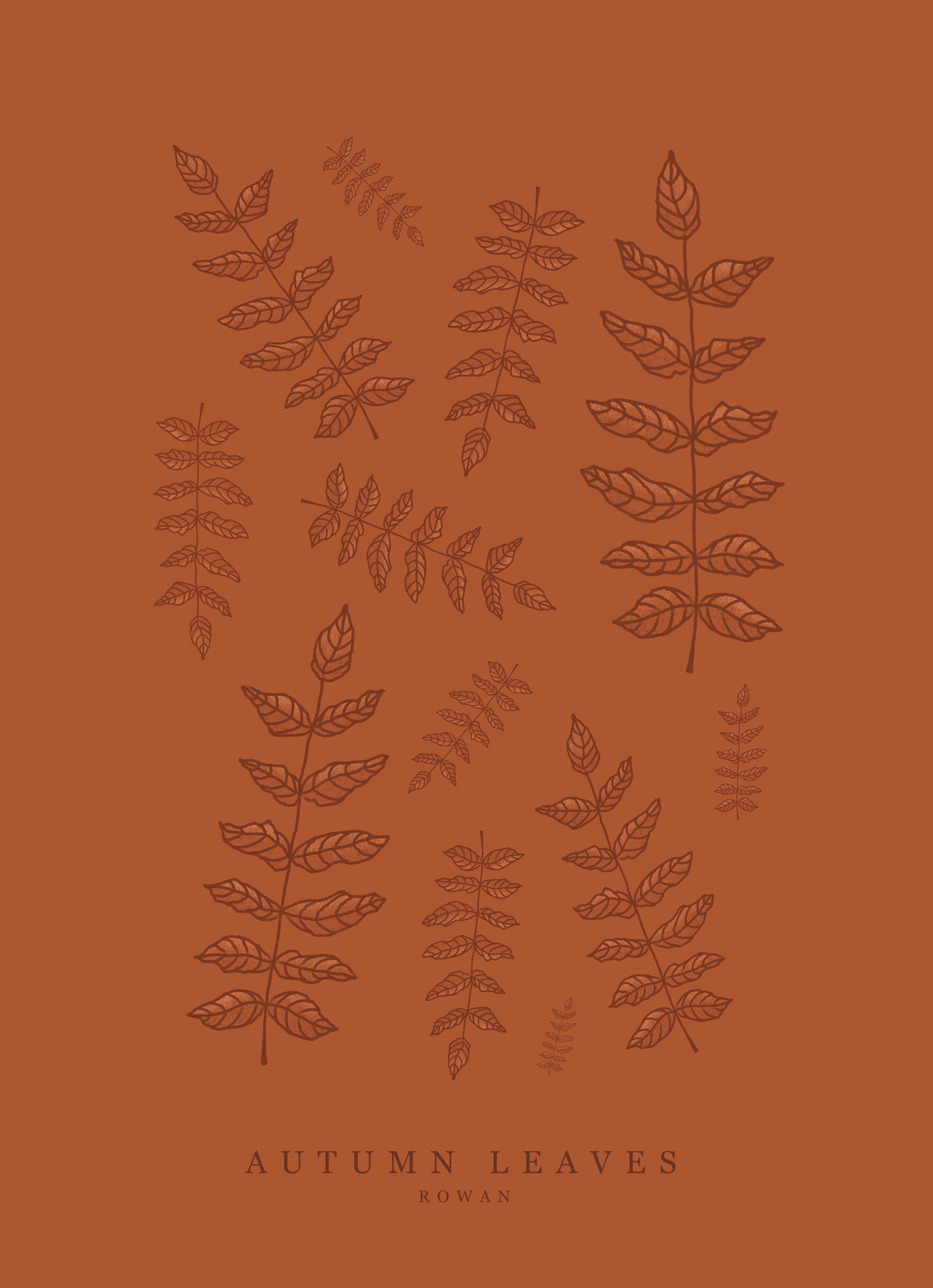 Rowan Leaf Art Print – Sustainable Hand-Illustrated A4 Wall Art