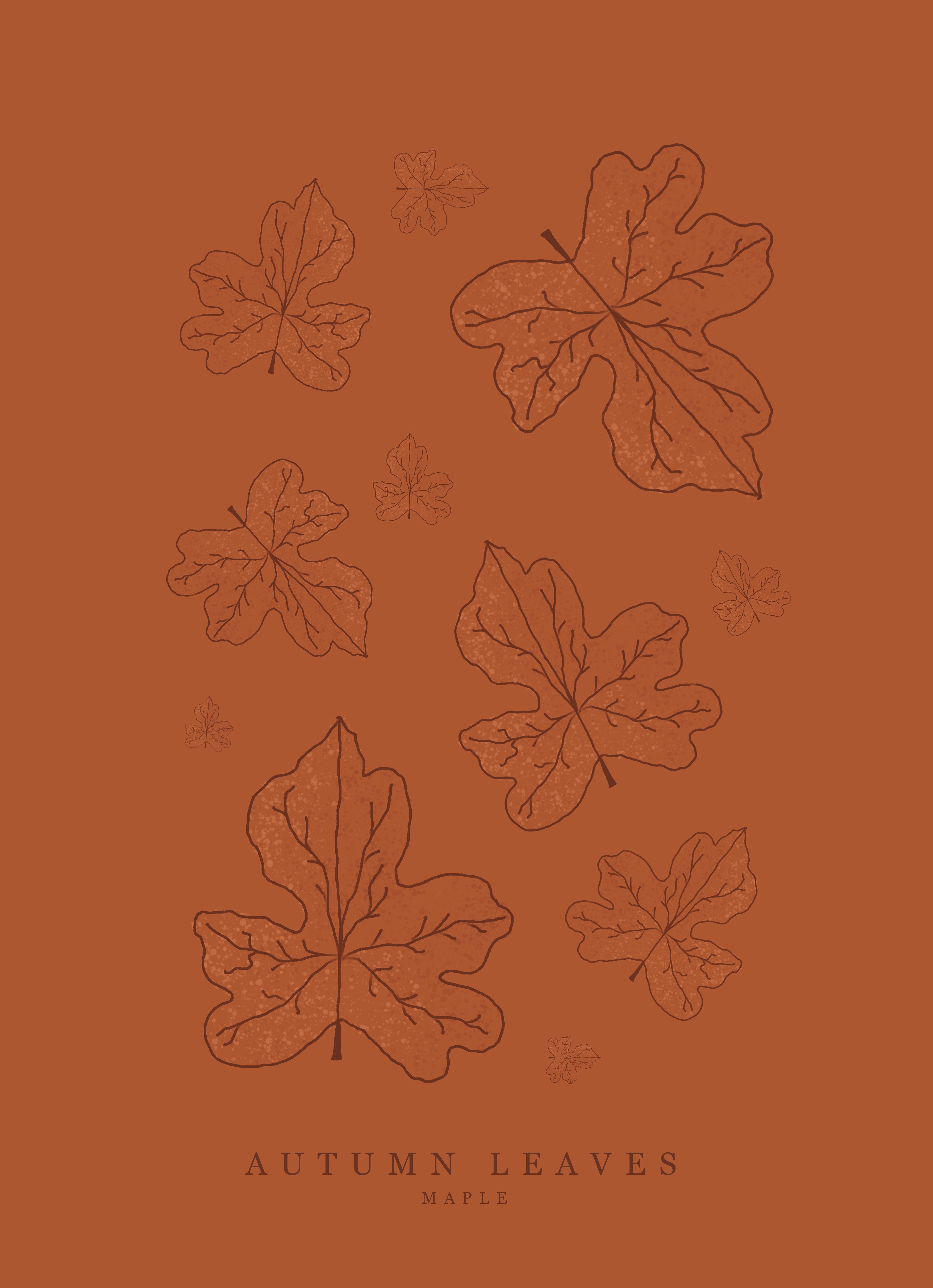 Maple Leaf Art Print – Hand-Illustrated Nature-Inspired A4 Decor